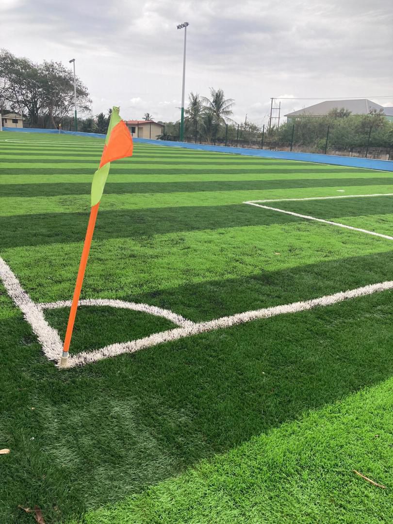 Astro Turf Pitch Turf / Carpets